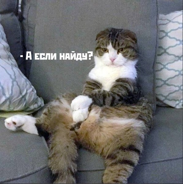 ��� ���� � ����� �� �� - 25 ���� 2026 � 19:02 - 3
