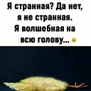 ���� �����, ��������, 46 ��� - ��������� 7 ���� 2026