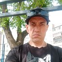 ���� ����, ���������, 43 ���� - ��������� 29 ��� 2025 � ������ ���� ����������