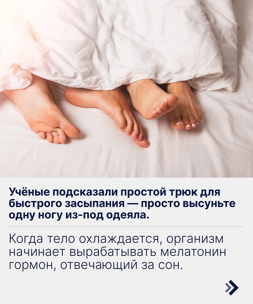 ���� ��������� ���� � � ��� �������� �������� ������: ���� �����. ����� ������� �������������� ...