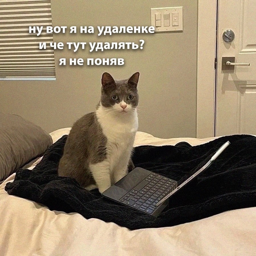 ��� �������� �������� - 4 ������� 2026 � 12:30