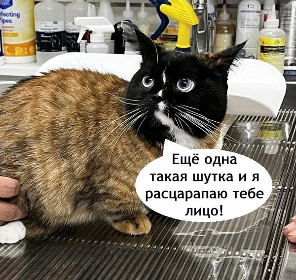     - 3
