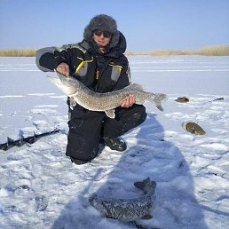 ������, �����, 52 ����