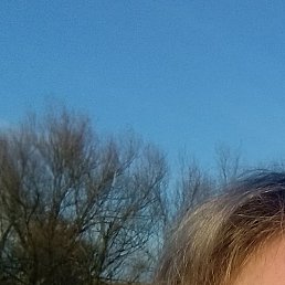 �������, ����, 45 ���