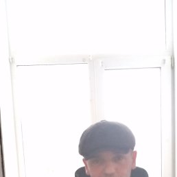 ���� ������, ������������, 41 ��� - ��������� 4 ������� 2025