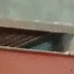 ������, ������, 46 ���