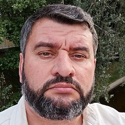 �����, �����-���������, 48 ���