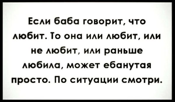   . - 23  2024  11:13