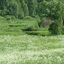 ���� ���������, �����, 55 ��� - ��������� 8 ����� 2025 � ������ ���� ���������� �����