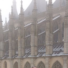 ���� ����, ������, 41 ��� - ��������� 22 ����� 2026