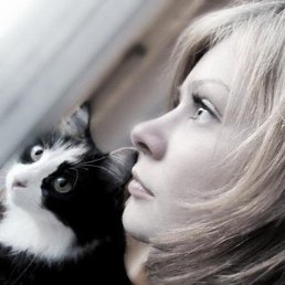 ���������, ������, 37 ���