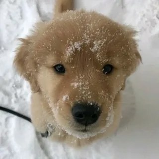 ��� ���� �����, ����� �������, ����� ������ �� ����. ���� ������� ����� ������ ����������� ����� ... - 2
