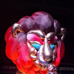 �����, ���������, 52 ����