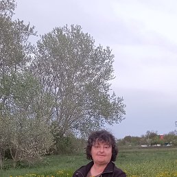 ���� �����, ���������, 55 ��� - ��������� 24 ���� 2025