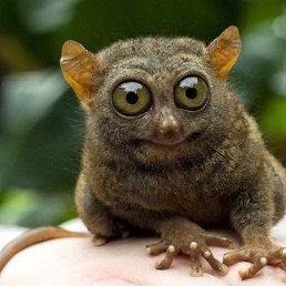 ������, �����, 48 ���