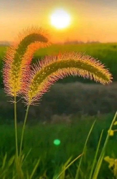    ...      .  ~~~~~~~~~~~~~~~~~~~~ - 2