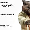 ���� ������, ��������, 54 ���� - ��������� 13 �������� 2024 � ������ ������ ��������