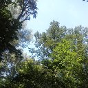 ���� O!, ������, 67 ��� - ��������� 13 ������ 2026 � ������ ����������