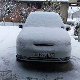 ���� Sher, ������, 34 ���� - ��������� 29 ������ 2024