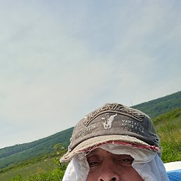 , 66,  