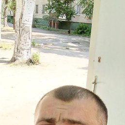 , 32, 