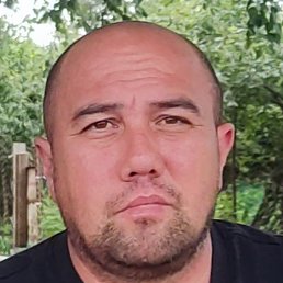 ������ ����������, ����������, 42 ����