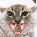 ���� ������, ������������, 20 ��� - ��������� 18 ������� 2023 � ������ ���� ����������