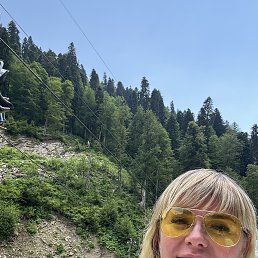 ������, 44 ����, ������ ��������