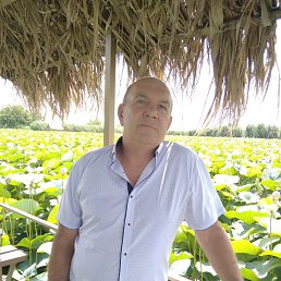  , 65, 