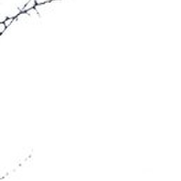 �������, �����, 38 ���