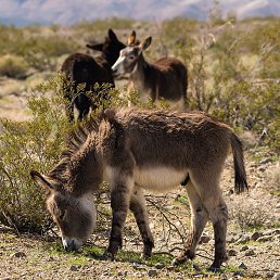 ������, ������, 24 ����