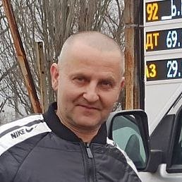 �����, ������, 50 ���