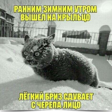 ~~~~~~~~~~~~~~~~~~~~~~