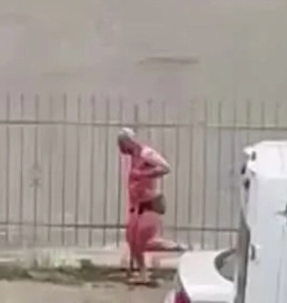     ,  . ,  ...