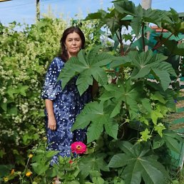 ����, �����-���������, 63 ����