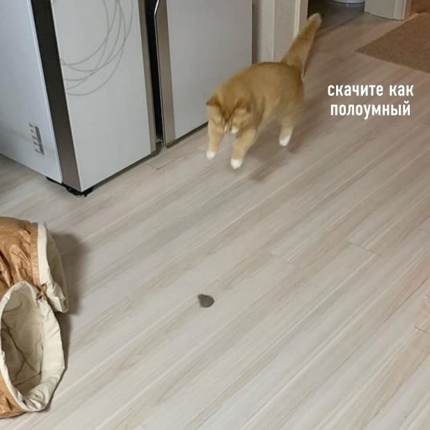 ���������� �� ����, ��� ������� ���� ��������� - 3