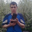 ���� ������, ��������, 36 ��� - ��������� 11 ������� 2024 � ������ ���� ����������