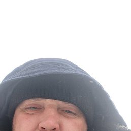 ������, 40 ���, ����