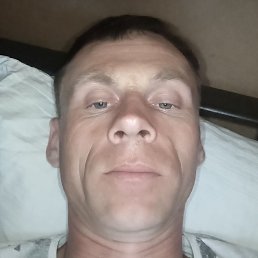 ����, �������, 37 ���