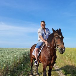 ��������, ������, 50 ���