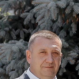 , 52, 