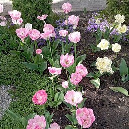 �����, ������, 57 ���