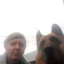 �������, 49 ���, ��������