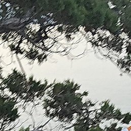 �����, ������������, 41 ���