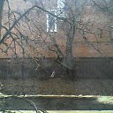 ���� �������(���� ����� �����), ���������, 47 ��� - ��������� 3 ����� 2026 � ������ ������ ��������