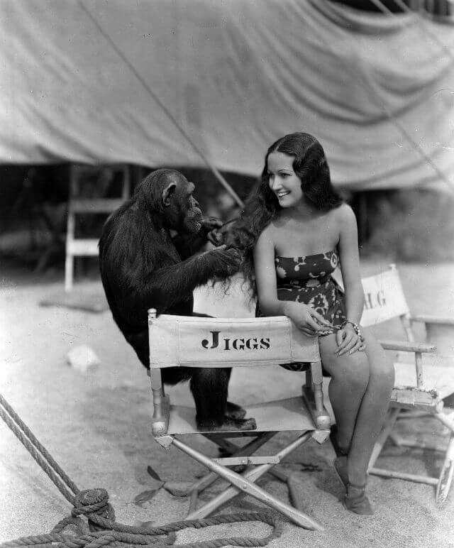     Dorothy Lamour   .     1938   ... - 2