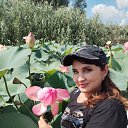 ���� ������, ���������, 49 ��� - ��������� 6 ������� 2025 � ������ ���� ����������