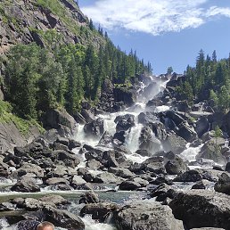 ��������, �����������