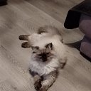 ���� ����, ������ - ��������� 20 ������ 2026 � ������ ������ ��������