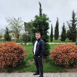 Mamedov, ����, 45 ���